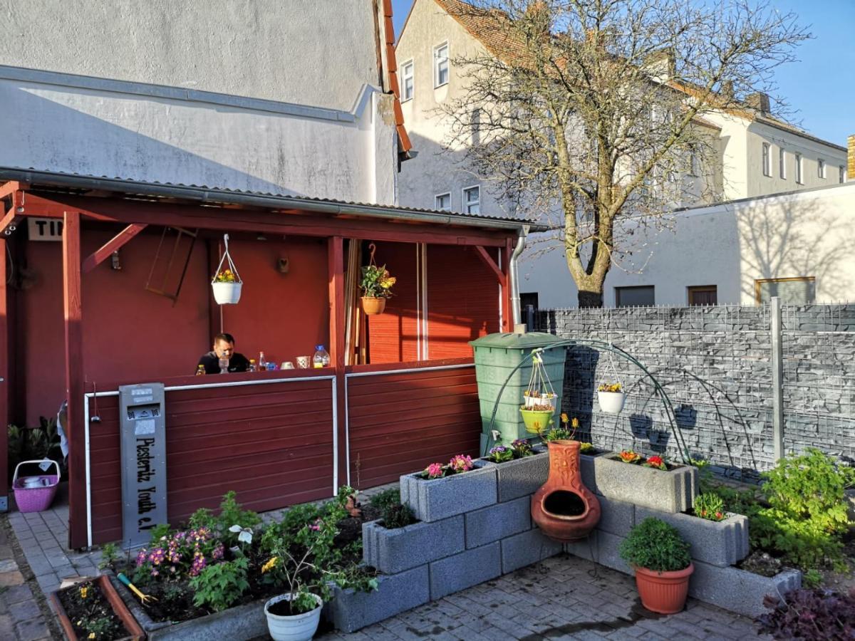 Wittenberg Pension Zur Gartenstadt المظهر الخارجي الصورة